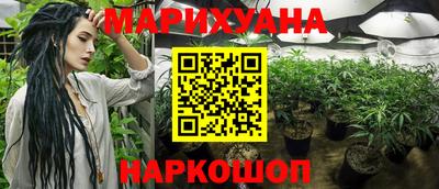 стаф Нальчик