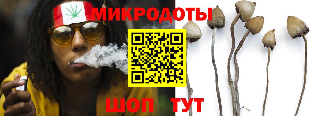 Галлюциногенные грибы Psilocybine cubensis Серпухов